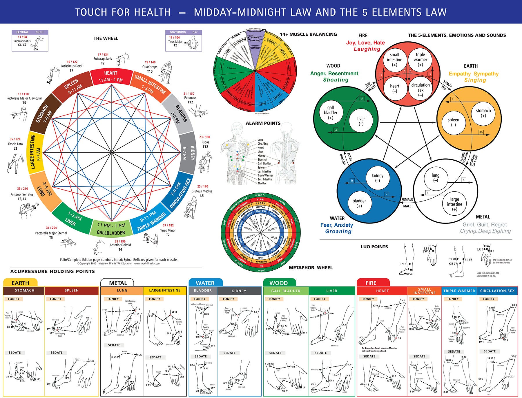 Touch for Health Midday-Midnight Law & Five Elements Law Chart