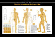 Touch for Health Meridian Chart