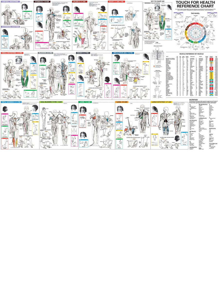 Touch for Health Reference Wall Chart DEVORSS PUBLICATIONS