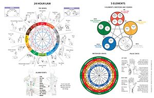 Touch for Health Handy Assessment Chart