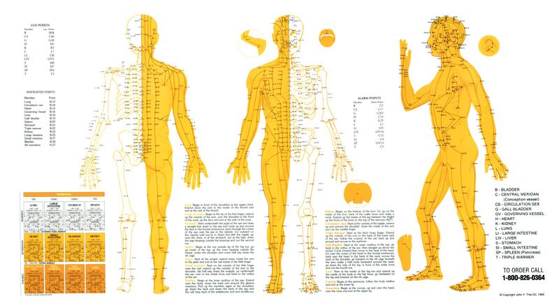 Touch for Health Meridian Chart