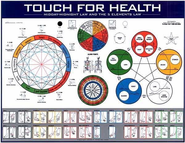 Touch for Health Midday-Midnight Law & Five Elements Law Chart